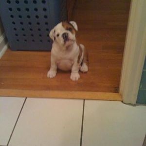 Teri Hayes - Myspace Profile Picture of Teri Hayes (@teri74nlex) on Myspace