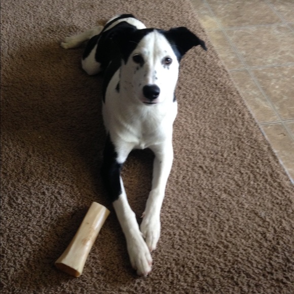 Profile Picture of Melisss Horton (@lissyhorton) on Poshmark