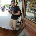 Profile Picture of Mike Baer (@__baer__) on Instagram