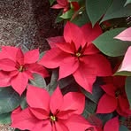 Profile Picture of Claudio Avendaño (@Claudio-Avendaño) on Facebook