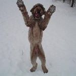 Profile Picture of Jeff Casady (@jeffcasady) on Instagram