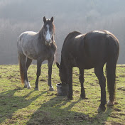 Profile Picture of Venya Bonebakker (@venyabonebakker7734) on Youtube