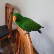 Profile Picture of Adam Sturgeon (@adammichael5) on Youtube