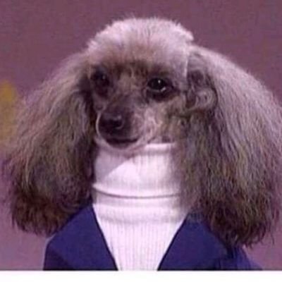 Profile Picture of Julia (@JuliaSaucedo23) on Twitter