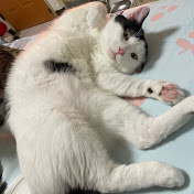 Profile Picture of Tony Liao (@Taicking) on Youtube