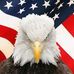 Profile Picture of Jeff Laque (@jeff.laque.5) on Facebook