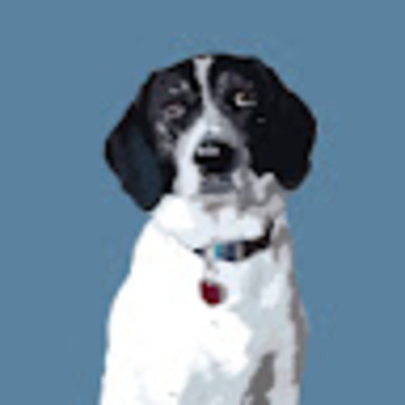 Profile Picture of Emma Freakley (@emfreak) on Poshmark