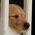 Profile Picture of Kari Hilpi (@Kari-Hilpi) on Facebook