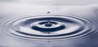 David Godman - Wikipedia Profile Picture of David Godmanon Wikipedia