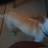 Profile Picture of Kenneth Barrow607 (@@kennethbarrow57) on Tiktok