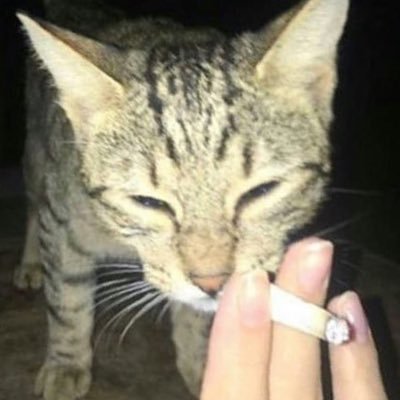 Profile Picture of Ethan Huffman (@xEasyEthan) on Twitter