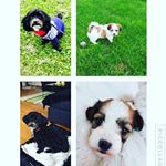 Profile Picture of Bailey Og Kylie (@bailey_og_kylie) on Instagram