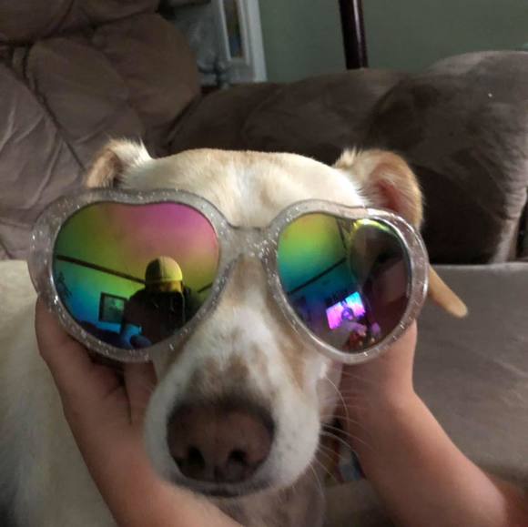 Profile Picture of Scott Christiansen (@scottchristians) on Poshmark