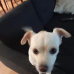 Profile Picture of Calvin Wyatt (@Calvin-Wyatt) on Facebook