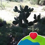 Ariadna Tomio - Facebook Profile Picture of Ariadna Tomio (@Ariadna-Tomio) on Facebook