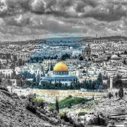 Samer A. Khaizaran - Twitter Profile Picture of Samer A. Khaizaran (@abuahmad6928) on Twitter