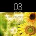 Profile Picture of Paula Polkoski (@ppolkoski) on Pinterest