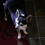 James Hotter - Instagram Profile Picture of James Hotter (@hots_u) on Instagram