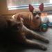 Profile Picture of Brian Constantino (@brianc6180pf) on Pinterest