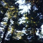 Profile Picture of Adam Kovar (@aj.exe3) on Instagram