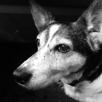 Profile Picture of Zoe Clayton (@zoeclayton69) on Twitter