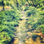 Profile Picture of Lawrence Pittman (@akroupsa) on Instagram