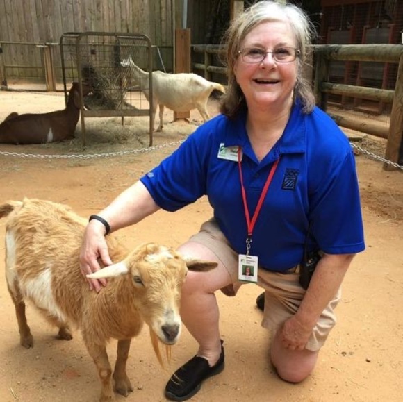 Heidi Rothschild - Poshmark Profile Picture of Heidi Rothschild (@heidirothschild) on Poshmark