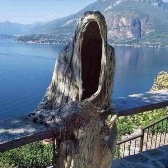 Shaky Shaky - Poshmark Profile Picture of Shaky Shaky (@dayanahigueros) on Poshmark