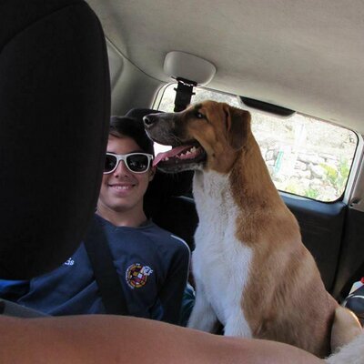 Profile Picture of Max Serrano Ramos (@Maxserrano777) on Twitter