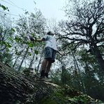 Profile Picture of Anthony Feliciano (@anthonyfeliciano9) on Instagram