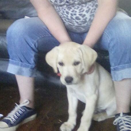 Profile Picture of Jessica Tipler (@billiebob56) on Tiktok