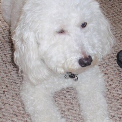 Profile Picture of Nick Mackey (@nickmackey98) on Twitter