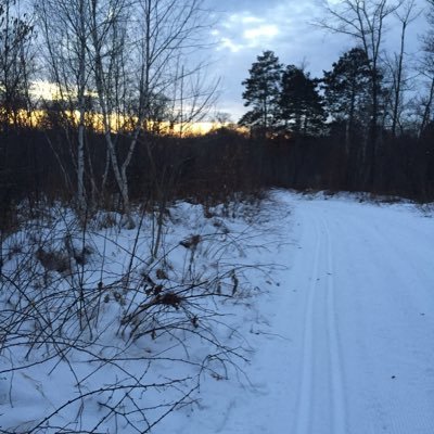 Profile Picture of Bill Bates (@Bill_Bates_) on Twitter