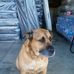 Profile Picture of Champ Clark (@champ.clark.545) on Facebook