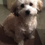 Profile Picture of Michael Kümpfbeck (@kumpfbeck) on Instagram