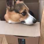 Profile Picture of Meredith Whitney (@meredith_whitney) on Instagram