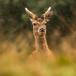 Profile Picture of David Morey (@david morey photography) on Flickr