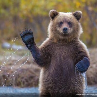 Profile Picture of James Sinnott (@jlsinnott1957) on Twitter
