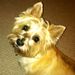Profile Picture of Heather Archangelo (@hoda153) on Pinterest