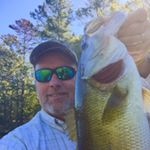 Profile Picture of Greg Harp (@greg_harp) on Instagram