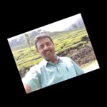 Profile Picture of Rejijoseph (@rejijoseph54) on Instagram