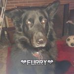 Profile Picture of Leon J Barker (@leonj.barker) on Instagram