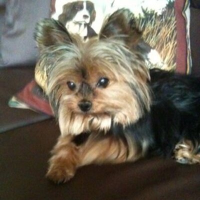 Profile Picture of Damien Walters (@tilArnold98) on Twitter