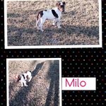 Profile Picture of Caleb Elms (@__calebelms__) on Instagram