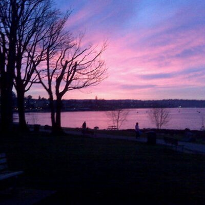 Profile Picture of Arthur Lander (@ArthurLander) on Twitter