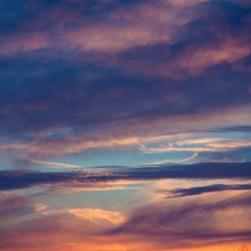 Profile Picture of Jacqulyn Gooding (@dtwnctamzc5) on Tiktok