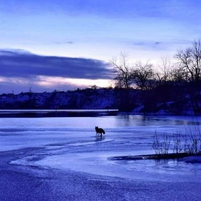 Profile Picture of Ginette Martin (@gi14Martin) on Twitter