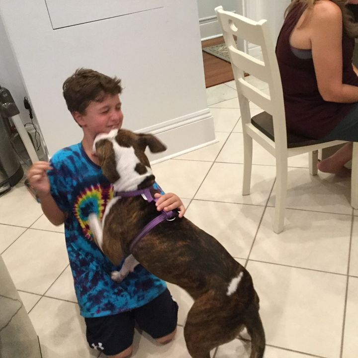 julian s - Tiktok Profile Picture of julian s (@juliansomma1) on Tiktok