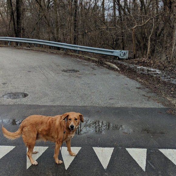 Profile Picture of Matthew Mcelroy (@matthewmcelroy) on Poshmark