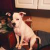 Profile Picture of shelly (@shellypine1986) on Tiktok